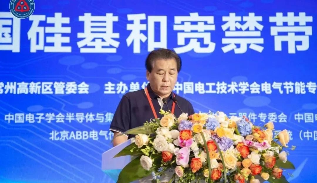 中國電工技術(shù)學(xué)會電氣節(jié)能專業(yè)委員會 秘書長 孫長富主持論壇