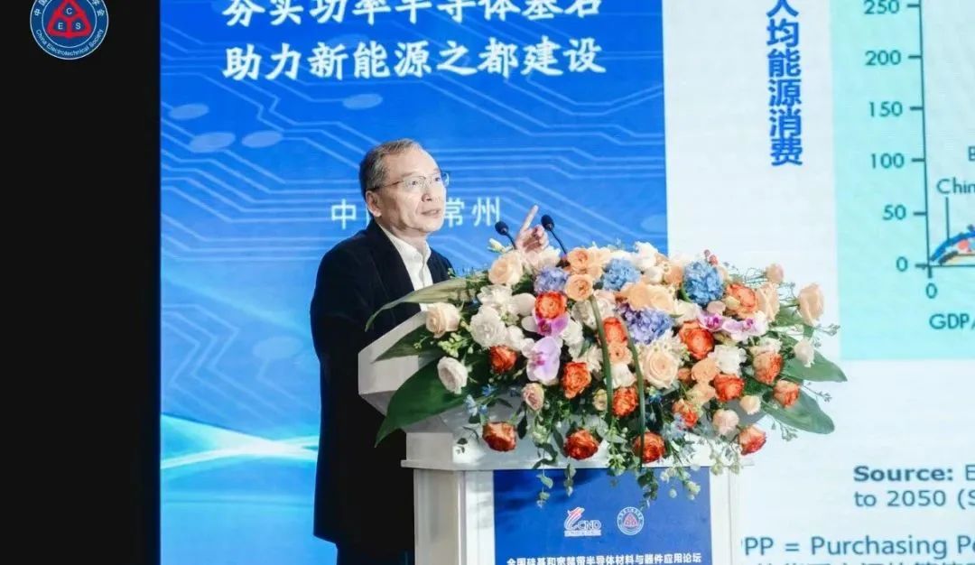  浙江大學(xué)求是特聘教授、中國電源學(xué)會名譽理事長  徐德鴻